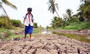 ĐBSCL thuộc 5 đồng bằng 'dễ bị tổn thương nhất thế giới'