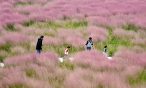 Cảnh sắc mùa thu làm 'say lòng người' khắp Trung Quốc